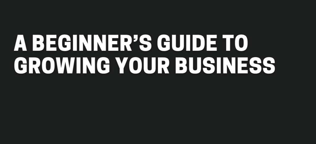 A beginner’s guide to growing your business - $49.99