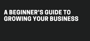 A beginner’s guide to growing your business - $49.99