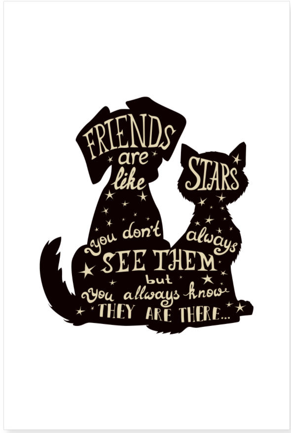 Friends are Like Stars Poster 24x36 - white